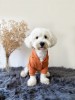 Köpek kıyafeti Caramel Kapüşonlu Sweatshirt