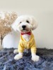 köpek kıyafeti Sun Yellow Kapüşonlu Sweatshirt