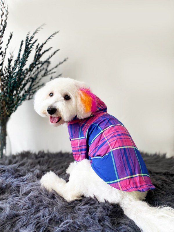 köpek kıyafeti plaid colors yağmurluk 