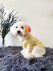 köpek kıyafeti yellow clour yağmurluk