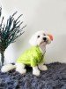köpek kıyafeti neon green yağmurluk
