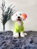 köpek kıyafeti neon green yağmurluk